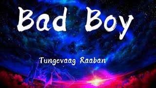 Tungevaag Raaban Bad Boy Lyrics