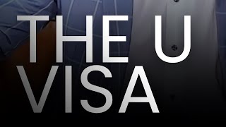 The U Visa 🇺🇸