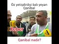 qanibal nədi ə 😂