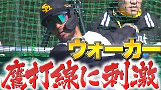 【鷹打線に刺激】ウォーカー『山川に負けじと柵越え連発！』