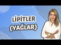 (6.Ders) Lipitler(Yağlar)| Seda Hoca Biyoloji 🧬