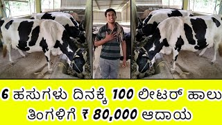 6 ಹಸುಗಳು ದಿನಕ್ಕೆ 100 ಲೀಟರ್ ಹಾಲು ತಿಂಗಳಿಗೆ  80,000 ಆದಾಯ || #cow #cowfarming #dailyfarm #cowfarm #milk