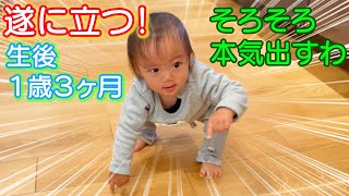 【感動の瞬間】成長おっとり末っ子赤ちゃんがやっとつかまらずに立った。。。涙 生後1歳3ヶ月”何気ない日常259”