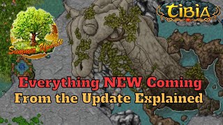 Tibia Summer Update 2022 Explained