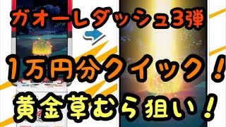 1万円分クイックで黄金草むら狙う！ポケモンガオーレダッシュ3弾