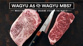 Japanese WAGYU A5 VS AUSTRALIAN Wagyu MBS 7 - World's Best Steaks Battle!