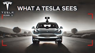 What a Tesla Sees