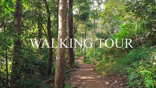 Walking Thiruvonamala  - Virtual Hike with ASMR Audio