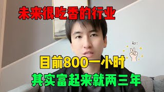 【副业推荐】2024新的风口，目前800块一小时，停止内耗为自己打工！