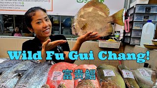 Wild Fu Gui Chang! (20 Sep 2024 Fri)