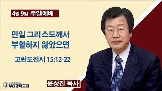 부산영락교회_20230409_주일설교_만일 그리스도께서 부활하지 않았으면_고린도전서 15장12-22절_윤성진목사_라이브