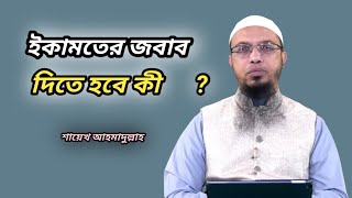 ইকামতের জবাব দিতে হবে কী ?  দিতে হলে কীভাবে দিব || শায়খ আহমাদুল্লাহ || Islamic প্রশ্নের উত্তর ||