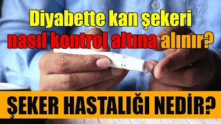 Diyabette kan şekeri nasıl kontrol altına alınır? Diyabet (Şeker Hastalığı) Nedir?