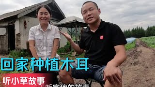 90后小姐姐放弃旅行，回到大山种植木耳，她的精神值得很多人学习【大亮旅行記】