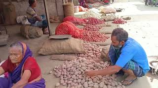 সকালের কাচা বাজার মেহেরপুর। Morning raw market Meherpur