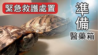 烏龜緊急救護措施🐢烏龜醫藥箱你準備了嗎？🤓|【雙Q烏龜成長日記】