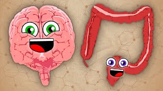 How Your Brain Controls The Body! | KLT Anatomy