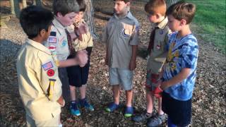 What do Cub Scouts Do?