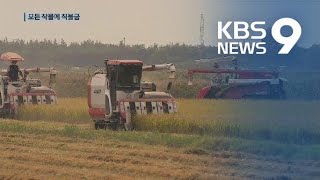 “쌀만 주던 직불금을 작물 전체로”…공익형 직불제 마련 시급 / KBS뉴스(News)