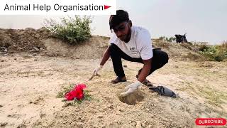 #Funeral 1 |A Farewell to a Silent Soul | Honoring Animal Life🫡