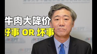 李稻葵：牛肉价格持续下降，好事还是坏事？这个案例在当下中国经济非常有代表性：物价太低，总体不是好事！牛肉价格为何大跳水？【清华大学李稻葵】