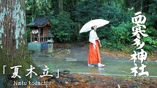 【大分県】 西寒多神社(ささむた神社)『夏木立・Natukodach』【Shinto Shrine Oita Japan】