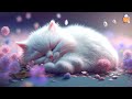 EXTRA LONG Cat Relaxation Music | Anti-Anxiety Music for Cats | Anxiety Relief in Cats | Sleepy Cat