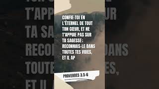 PROVERBE 3.5-6 | VERSET DU JOUR