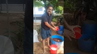 PORTTING MIX എൻറെ രീതി