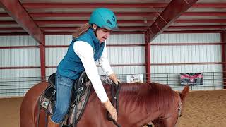 Daily Dose of Horsemanship Homework: Pulley Rein