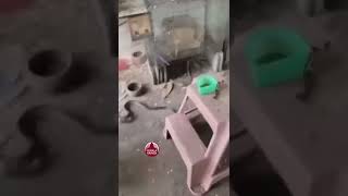 തത്തക്കൂട്ടില്‍ കൂറ്റന്‍ പാമ്പ് #dog #snake #attack #animals #viralvideo