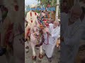 attalur village program basha horse basha music wedding marriage song horsedance