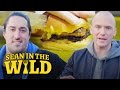 Sean Evans Hunts for London's Best Burger | Sean in the Wild