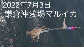 鎌倉沖浅場マルイカ釣り 2022年7月3日