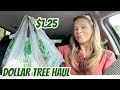 DOLLAR TREE HAUL | SMALL CAR HAUL | CHAT | NEW