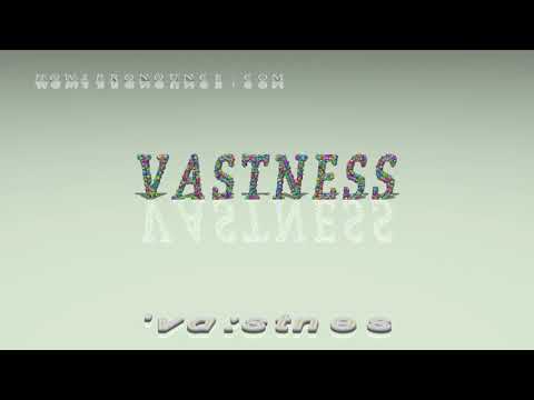 How do you use vastness in a sentence?