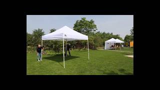 Eurmax 10x10 Pop Up Canopy tent with enclosure wall review