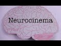 how movies control your brain