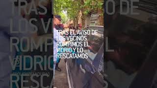 Rescataron a otro perro: lo habían dejado encerrado en un auto