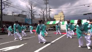 第４１回相模原市民桜まつり－よさこい桂友会２