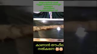 അല്ലാഹുവിന്റെ റസൂൽ സല്ലല്ലാഹു അലൈഹിവസല്ലമ  നടക്കാൻ ഉപയോഗിച്ചിരുന്ന വടി #prophet #islam #islamic