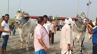 బుడంపాడు గ్రామం 6 పళ్ళు విభాగం 2 jataమోదుగుల రామిరెడ్డి గారు పెదపరిమి \u0026 నలమాధ ఉత్తమ పద్మావతి గారి