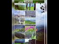 आम्ही सातारकर🚩🚩satara best places