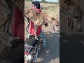 Download Dog race In Mp4 3Gp Full HD Video