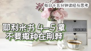 每日十五分钟读经与思考 - 耶利米书 4-5章 “不要撒种在荆棘”