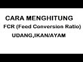 Feed Conversion Ratio (FCR) | Cara Mudah Menghitung FCR Udang/Ikan