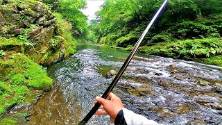 奥多摩川の初めてのポイントで大物発見⁉新規開拓渓流釣り第２弾！