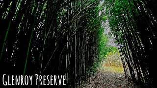 Hiking the Bamboo Forest, Ruins, and Streams of Beautiful Glenroy Preserve
