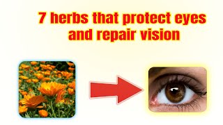 7 herbs that protect eyes and repair vision @A Healthier You
