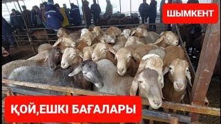 БҮГІНГІ ҚОЙ ЖӘНЕ ЕШКІ БАҒАСЫ